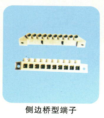 樂清廠家直銷側(cè)邊橋型端子 連接器領域的高性價比解決方案